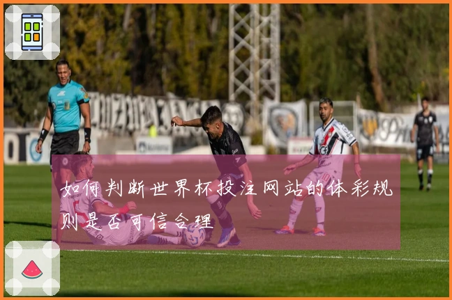 如何判断世界杯投注网站的体彩规则是否可信合理