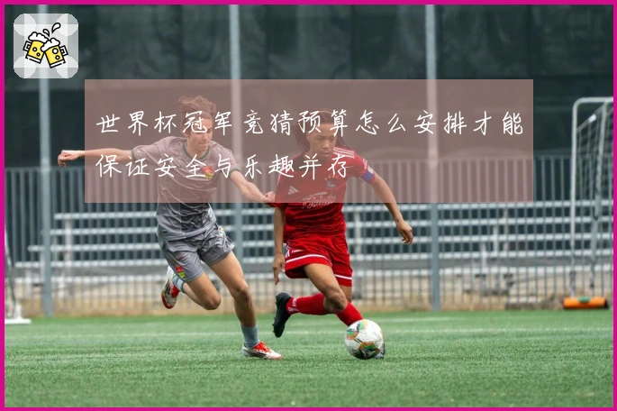 世界杯冠军竞猜预算怎么安排才能保证安全与乐趣并存