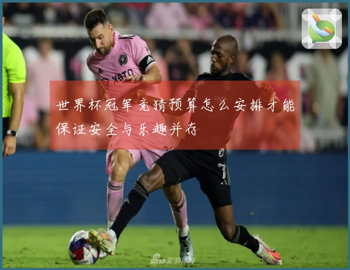 世界杯冠军竞猜预算怎么安排才能保证安全与乐趣并存